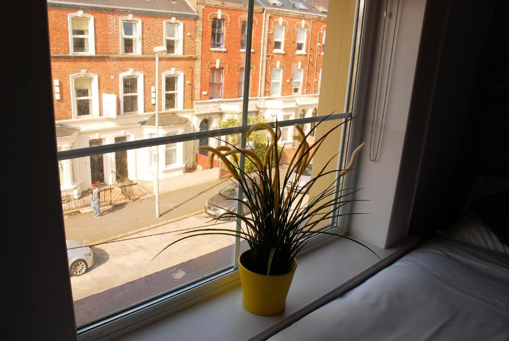 Botanic Rest Queens Quarter Belfast Værelse billede